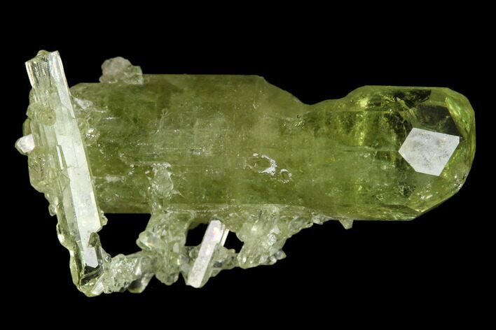 Vesuvianite Crystal - Jeffrey Mine, Canada #134422